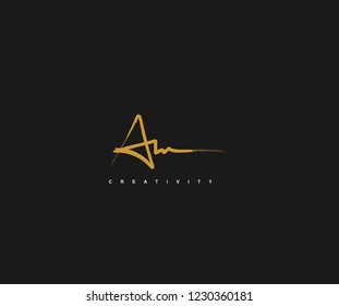 Abstract Initial A Letter or Star Brush Stroke Signature Logotype