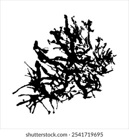  Abstract ink blots. Decorative splatter isolated on white background . Grunge brush vector