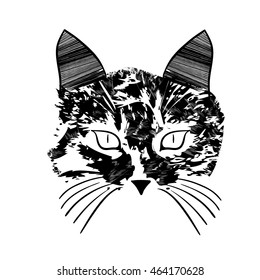 Abstract ink cat portrait isolated on white background