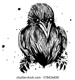 Abstract ink crow.Ink raven.Grunge raven art.White background.Raven outlines.