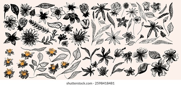 Abstract Ink Flower Set. Hand Drawn Brush Floral Black Silhouette. Sketch Strokes Grunge Natural Forms. Template Grunge Paint Flowers, Leaves, Blossom, Branches. Collection Of Botanical Vector.