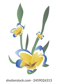 Abstract iris with buds in flat design. Flowers with blue and yellow petals. Vector illustration isolated.