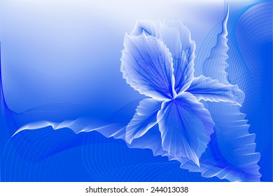 Abstract iris flower on a blue background.