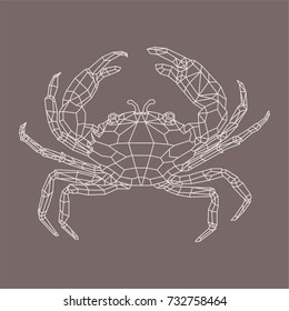 abstract isolated polygonal sea crab