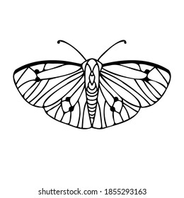 Abstract isolated vector black and white lined illustration design of butterfly. The design is perfect for textiles, decorations, stickers, logos, badges, invitations, cards, tattoos.