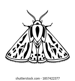 Abstract isolated vector black and white illustration design of a lined ornamental moth. The design is perfect for textiles, decorations, stickers, logos, badges, invitations, cards, tattoos.