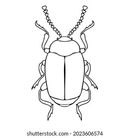 Abstract isolated vector black and white lined illustration design of bug. The design is perfect for textiles, decorations, stickers, logos, badges, invitations, cards, tattoos.