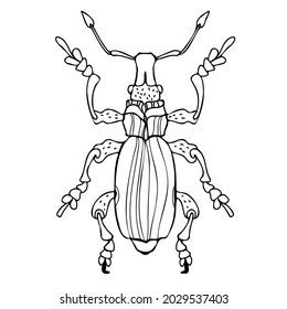 Abstract isolated vector black and white lined illustration design of bug. The design is perfect for textiles, decorations, stickers, logos, badges, invitations, cards, tattoos.
