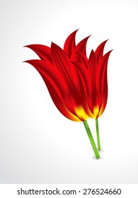 abstract isolated vector flower illustration
