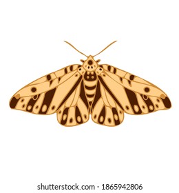 Resumen de diseño de ilustraciones aisladas de vectores alineadas con mariposa en colores amarillo pastel. El diseño es perfecto para textiles, decoraciones, pegatinas, logos, insignias, invitaciones, tarjetas, tatuajes.