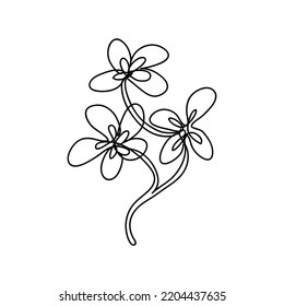 Abstract Jasmine Flower Line Art In White Background.