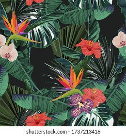 Abstract jungle summer background. Seamless floral  tropical pattern with palm tree, orchid, hibiscus. Vector illustration. Vintage style. Retro print