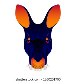 Abstract kangaroo head isolated on white. Graphic cartoon kangaroo portrait painted in imaginary colors for design card, invitation, banner, book, scrapbook, t-shirt, poster, sketchbook, album etc.