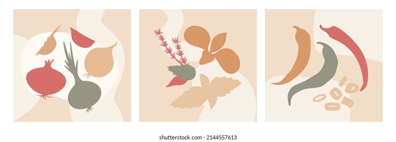 Abstract kitchen spices cards. Plants silhouettes, modern decorative posters with vegetables. Doodle elements, spring summer vegan neat vector banner