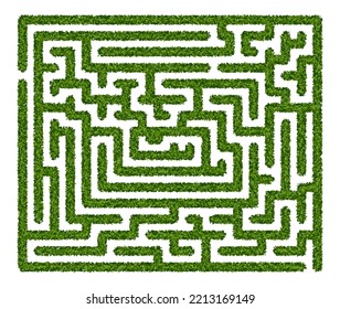 Abstract labyrinth of green hedge on white background. Maze garden. Vector illustration. Education logic game for kids. Brain trainer. Find the way and right solution for exit.