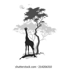 abstract landscape savanna giraffe. The composition of silhouettes, black white
