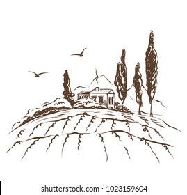 Abstract landscape with vineyard / Vector illustration, mountain landscape with fields