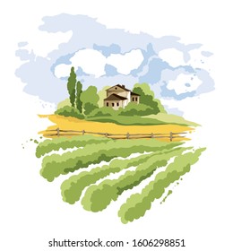 Abstract landscape with vineyard / Vector illustration, wheat fields and meadows