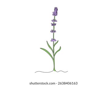 Abstract lavender flower twig, continuous single one line art drawing sketch, logo