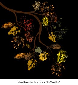 Abstract leaf background, vector