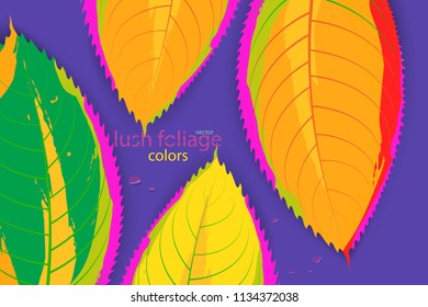 Abstract leaf colors vector wallpaper backgrounds