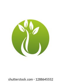 Abstract Leaf Drop water Logo Template