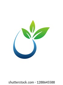Abstract Leaf Drop water Logo Template