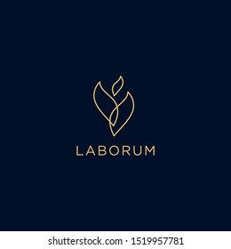 Abstract leaf flower logo. design icon vector