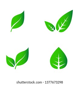 Abstract leaf icon set isolated on white background. Collection of leaf icons for symbol, logo, sign, label and app. Creative art concept. Vector illustration, flat leaves