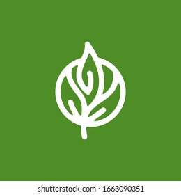 Icono, símbolo y logotipo de hoja abstracta, que puede utilizar para sus elementos de diseño, iconos de sitio web, iconos de aplicación, UI y más.