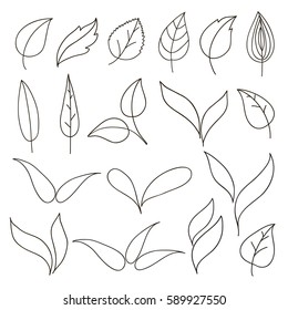 abstract leaf icons set