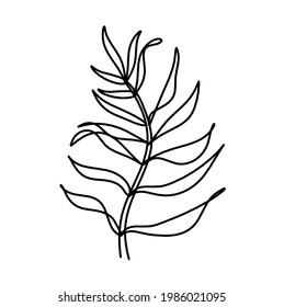 Abstract leaf as line drawing on the white background. Vector