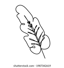 Abstract leaf as line drawing on the white background. Vector