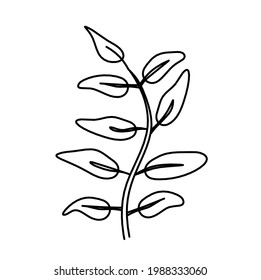 Abstract leaf as line drawing on the white background. Vector