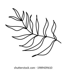 Abstract leaf as line drawing on the white background. Vector