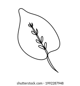 Abstract leaf as line drawing on the white background. Vector