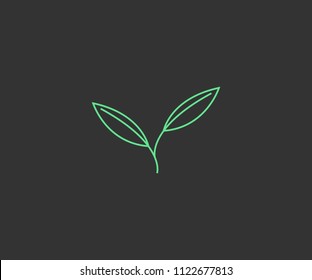 Abstract Leaf Line Vector Illustration