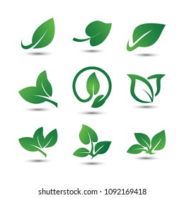 Abstract leaf logo icon template