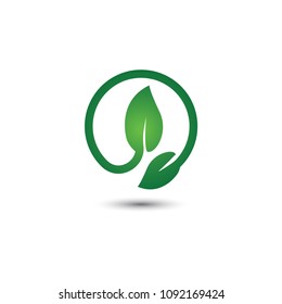 Abstract leaf logo icon template