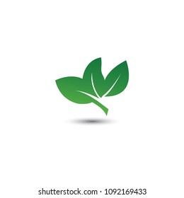 Abstract leaf logo icon template