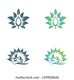 Abstract leaf logo vector symbol. Foliate symbol design.
