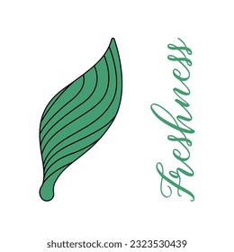 Abstract leaf in a minimalist style. The inscription freshness. Poster, logo, postcard, fabric, banner, cover. Vector flat illustration isolated on white background.