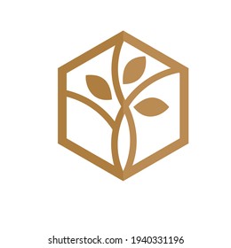 abstract leaf nature on hexagonal logo or icon. EPS 10