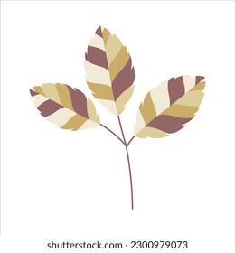 Abstract Leaf Nature Vector Design