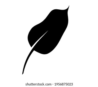 Abstract leaf on the white background. Vector