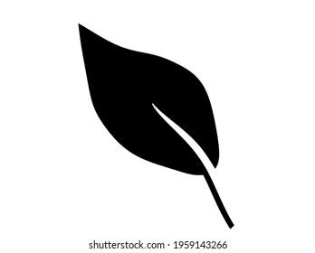 Abstract leaf on the white background. Vector