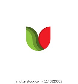 abstract leaf plant logo vector