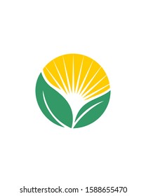 abstract leaf and sun logo vector