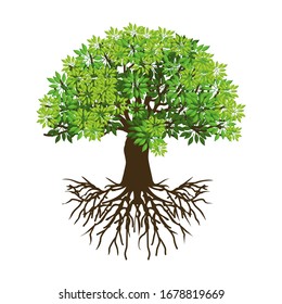 Abstract leaf trees and leafy roots in isolation against a white background. Vector illustration.