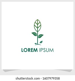 abstract leaf vintage logo design vector, nature element logo design template